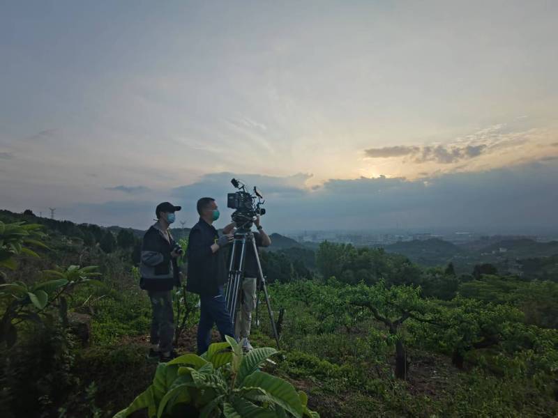 创意破圈！迁安市电商产品宣传视频用故事化叙事引爆流量