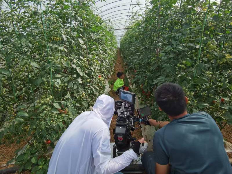 迁安市产品宣传视频拍摄公司进阶指南，助力品牌抢占传播高地